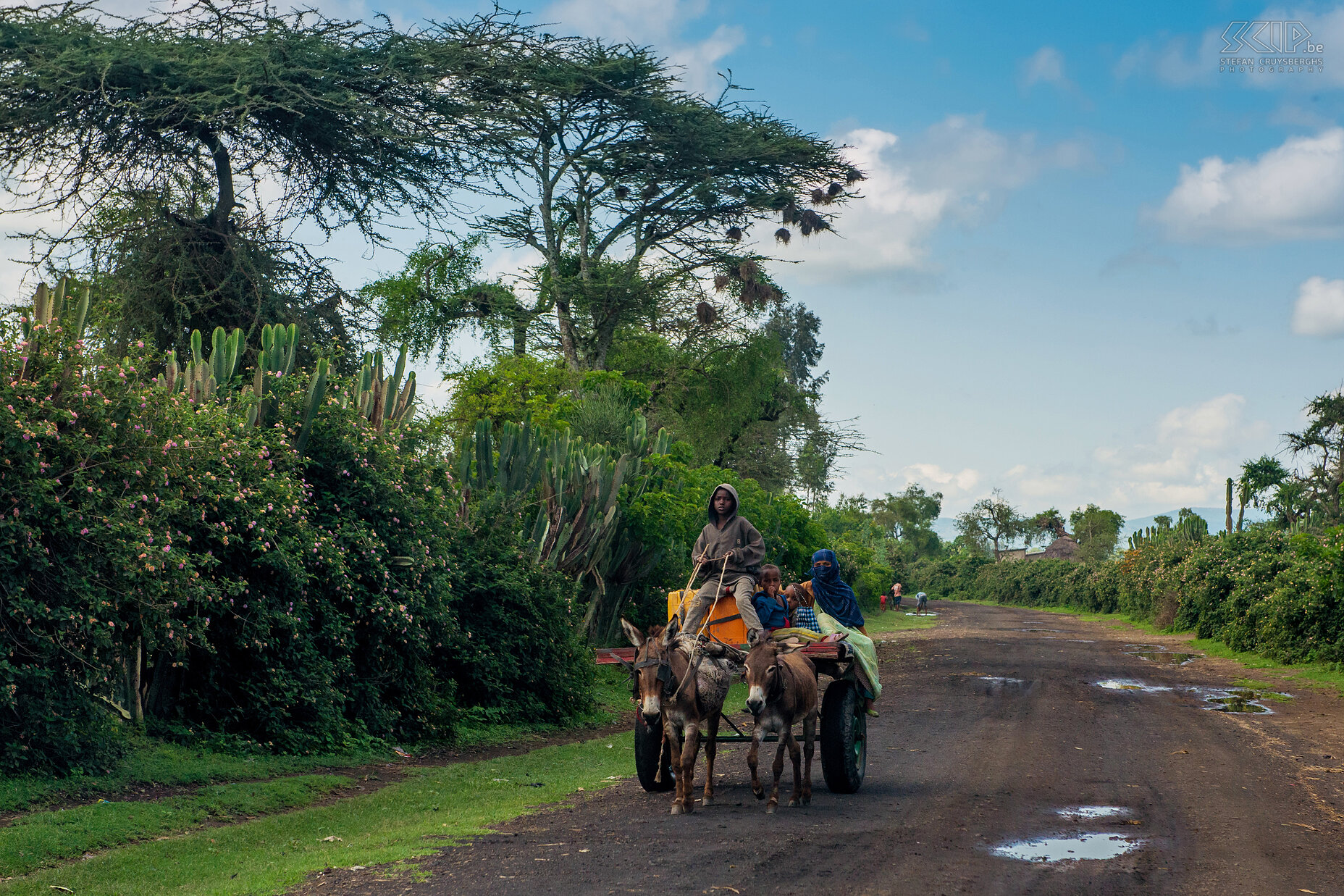 Donkey cart A large part of the Oromo people in the region between the Ethiopian Rift Valley and the Bale Mountains are muslim and the must used transport is the donkey cart. Stefan Cruysberghs